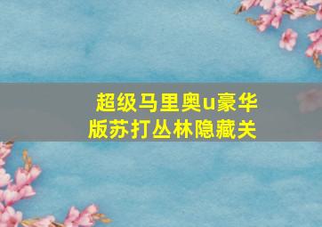 超级马里奥u豪华版苏打丛林隐藏关