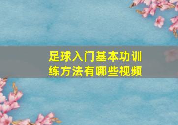 足球入门基本功训练方法有哪些视频