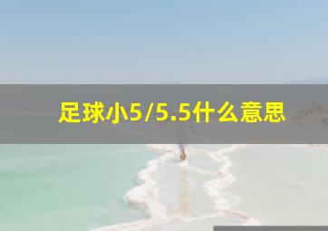 足球小5/5.5什么意思