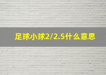 足球小球2/2.5什么意思