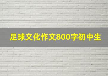 足球文化作文800字初中生