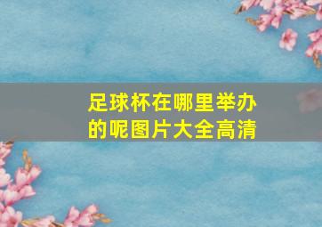 足球杯在哪里举办的呢图片大全高清