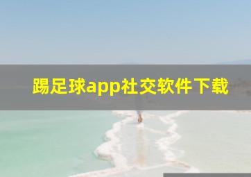 踢足球app社交软件下载