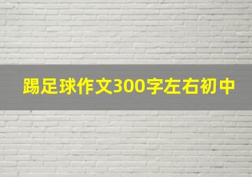 踢足球作文300字左右初中