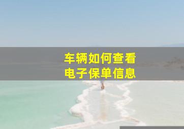 车辆如何查看电子保单信息