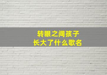 转眼之间孩子长大了什么歌名