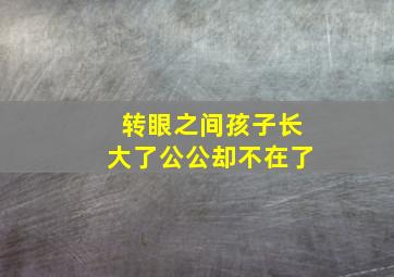 转眼之间孩子长大了公公却不在了