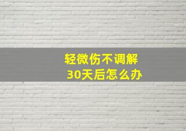 轻微伤不调解30天后怎么办