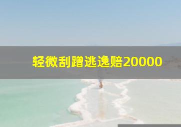 轻微刮蹭逃逸赔20000