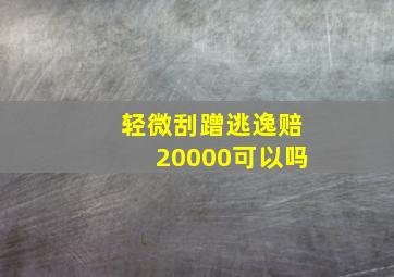 轻微刮蹭逃逸赔20000可以吗