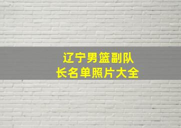 辽宁男篮副队长名单照片大全