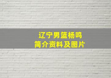 辽宁男篮杨鸣简介资料及图片