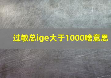 过敏总ige大于1000啥意思