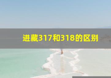 进藏317和318的区别