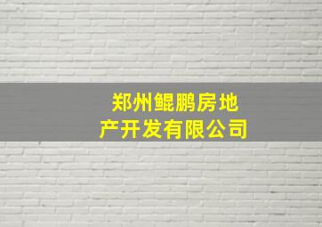 郑州鲲鹏房地产开发有限公司