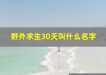 野外求生30天叫什么名字