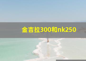 金吉拉300和nk250