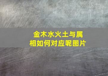 金木水火土与属相如何对应呢图片