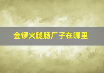 金锣火腿肠厂子在哪里