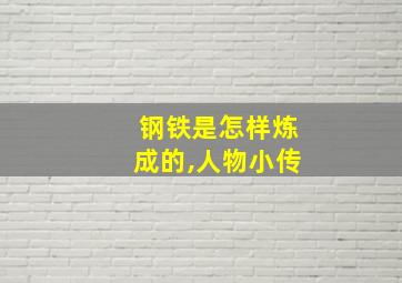 钢铁是怎样炼成的,人物小传