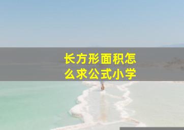 长方形面积怎么求公式小学