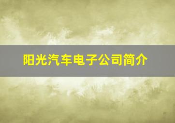 阳光汽车电子公司简介