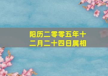 阳历二零零五年十二月二十四日属相