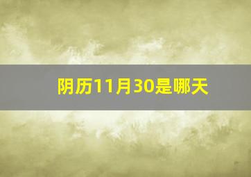 阴历11月30是哪天