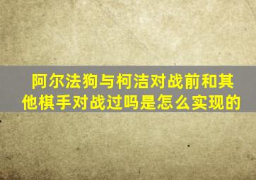 阿尔法狗与柯洁对战前和其他棋手对战过吗是怎么实现的