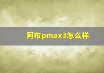 阿布pmax3怎么样