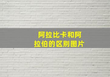 阿拉比卡和阿拉伯的区别图片