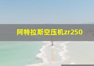 阿特拉斯空压机zr250