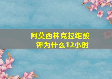 阿莫西林克拉维酸钾为什么12小时