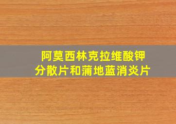 阿莫西林克拉维酸钾分散片和蒲地蓝消炎片