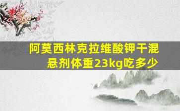 阿莫西林克拉维酸钾干混悬剂体重23kg吃多少