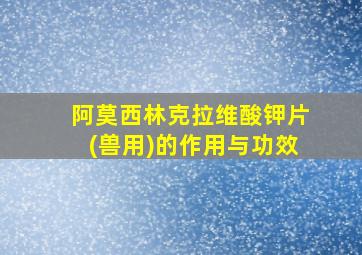 阿莫西林克拉维酸钾片(兽用)的作用与功效