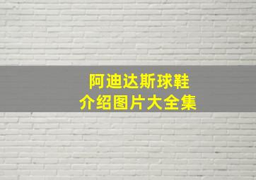 阿迪达斯球鞋介绍图片大全集