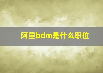 阿里bdm是什么职位