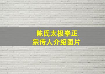 陈氏太极拳正宗传人介绍图片