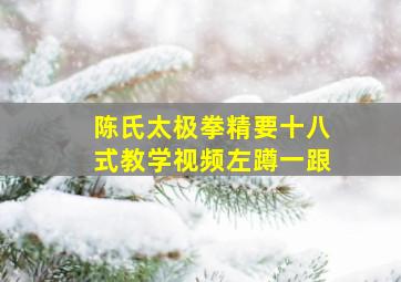 陈氏太极拳精要十八式教学视频左蹲一跟