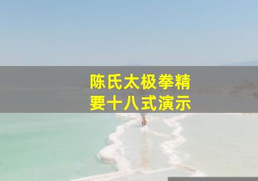 陈氏太极拳精要十八式演示