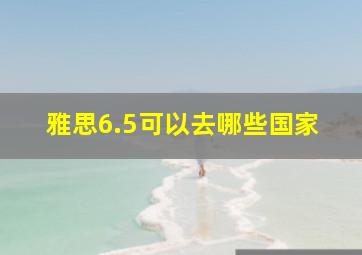 雅思6.5可以去哪些国家