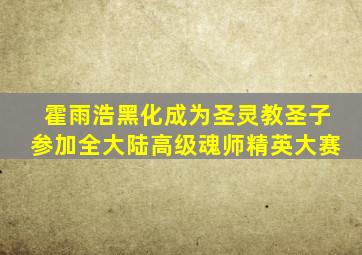 霍雨浩黑化成为圣灵教圣子参加全大陆高级魂师精英大赛