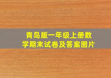 青岛版一年级上册数学期末试卷及答案图片