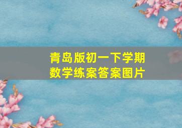 青岛版初一下学期数学练案答案图片