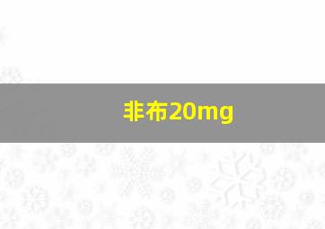 非布20mg