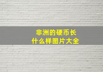 非洲的硬币长什么样图片大全