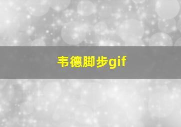 韦德脚步gif