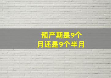 预产期是9个月还是9个半月