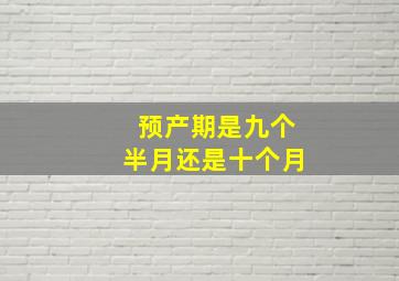 预产期是九个半月还是十个月